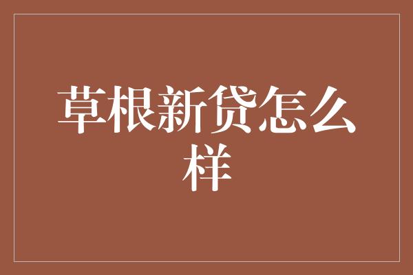 草根新贷怎么样