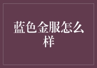 蓝色金服：金融行业的创新者与守护者