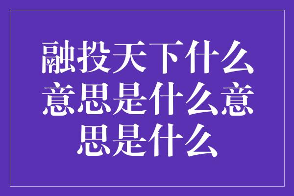 融投天下什么意思是什么意思是什么