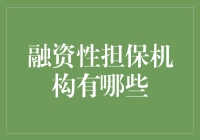 融资性担保机构的多样性探索与价值剖析