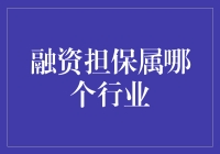 融资担保行业：金融增值服务领域的明珠