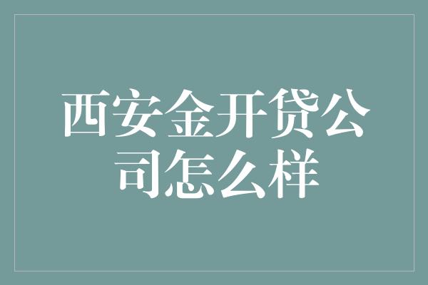 西安金开贷公司怎么样