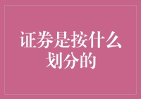 证券分类体系：理解市场多元化工具的关键