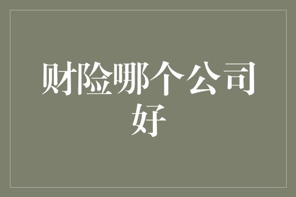 财险哪个公司好