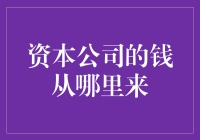 资本公司的钱从哪里来：深层次解析资金来源渠道