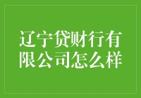 辽宁贷财行有限公司：金融科技领域的探索者与引领者