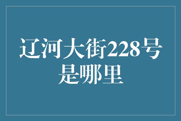 辽河大街228号是哪里