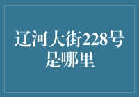 辽河大街228号，究竟有何秘密？