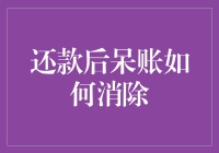 当呆账遇见还款：一场似曾相识的浪漫奇遇记