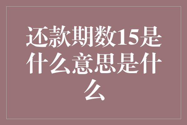 还款期数15是什么意思是什么