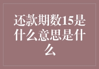 解开谜题：还款期数15是什么意思？——一场金融迷宫的探索