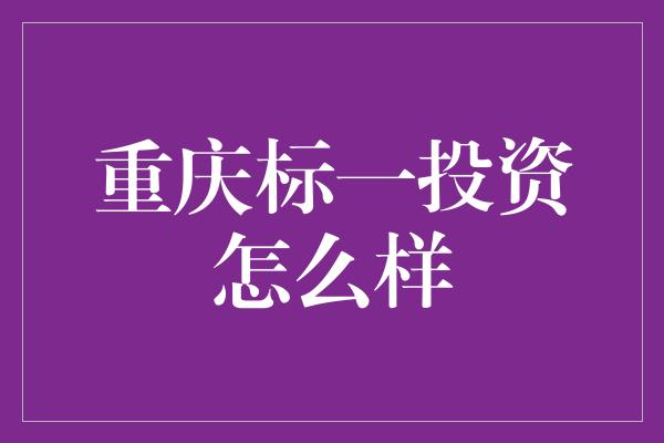 重庆标一投资怎么样