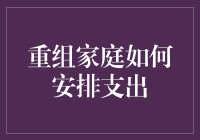 探讨重组家庭的支出安排策略：案例与建议