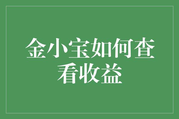 金小宝如何查看收益