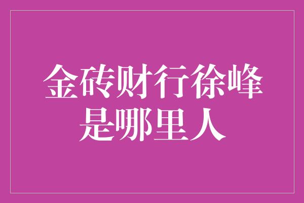 金砖财行徐峰是哪里人