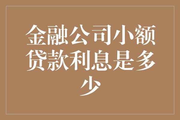 金融公司小额贷款利息是多少