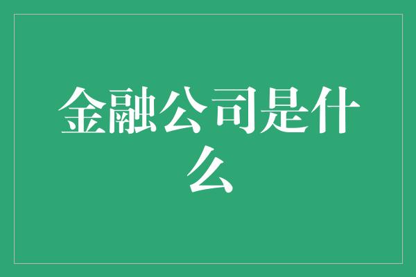 金融公司是什么