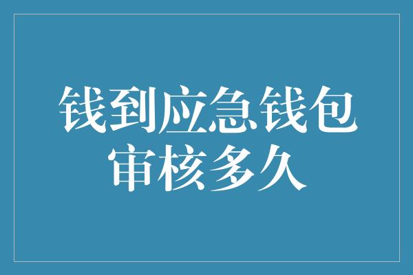 钱到应急钱包审核多久