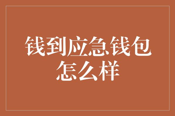 钱到应急钱包怎么样