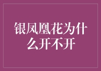 从银凤凰花为什么开不开浅谈专业精神与团队协作的力量