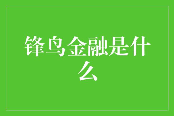 锋鸟金融是什么