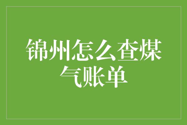 锦州怎么查煤气账单