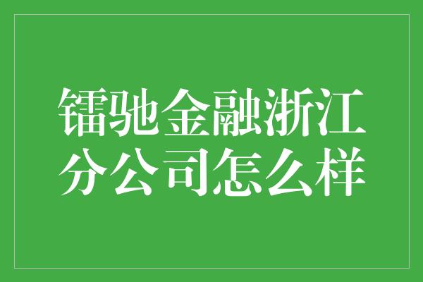 镭驰金融浙江分公司怎么样