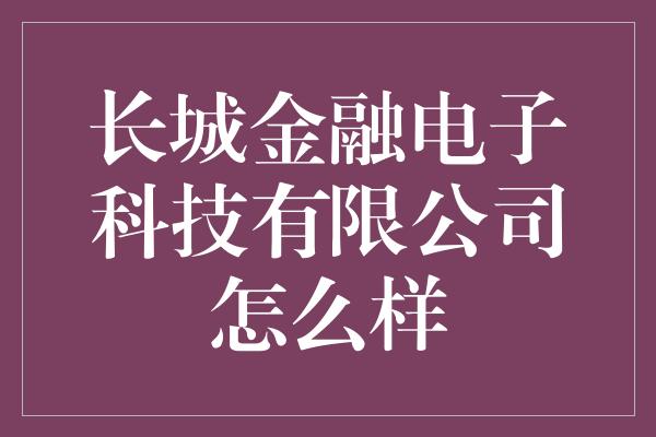 长城金融电子科技有限公司怎么样