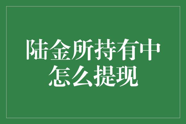 陆金所持有中怎么提现