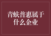 青蚨普惠：重新定义普惠金融的创新型企业