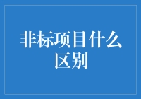 非标准项目与标准项目：差异剖析