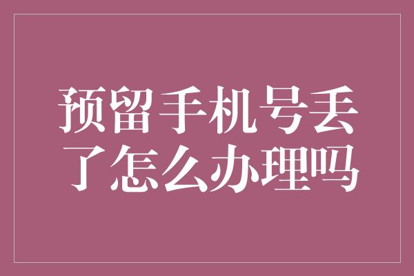 预留手机号丢了怎么办理吗