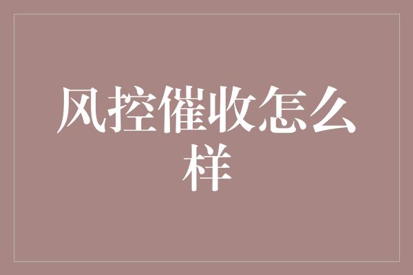 风控催收怎么样