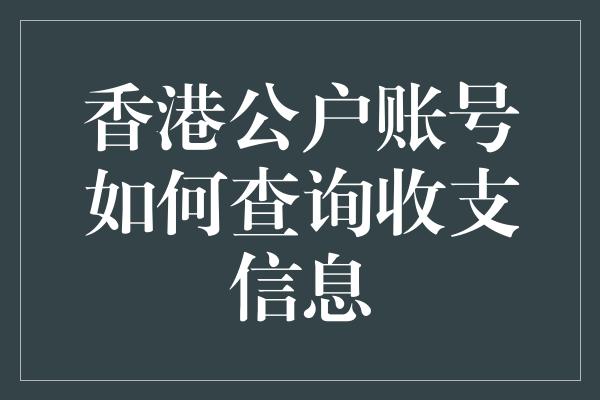 香港公户账号如何查询收支信息