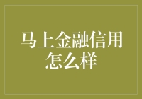 马上金融：信用评估体系的创新与优化