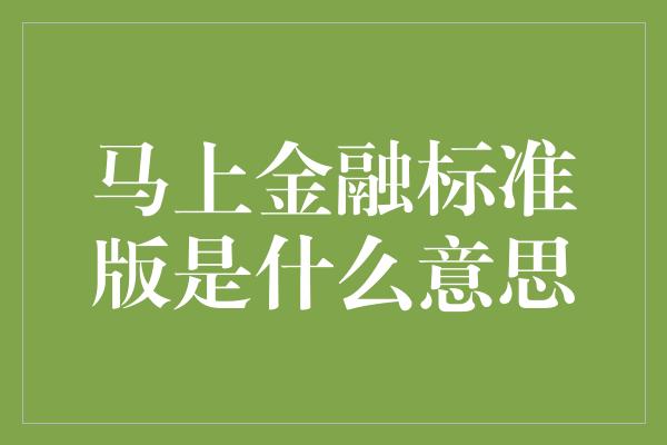 马上金融标准版是什么意思