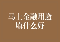 马上金融用途怎么填？揭秘实用技巧！