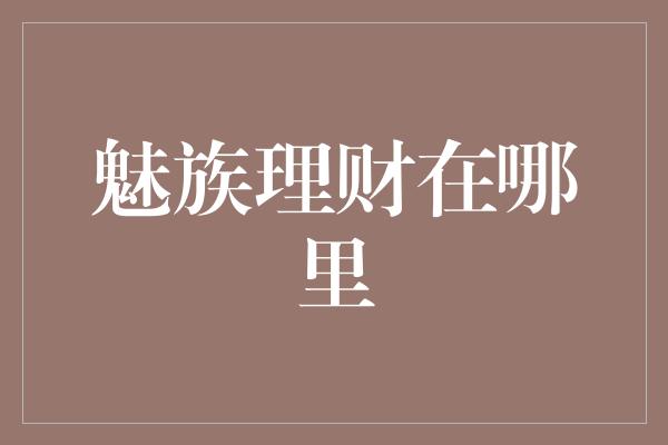 魅族理财在哪里