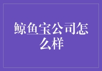 鲸鱼宝公司怎么样？揭秘那些鲸喜与忧