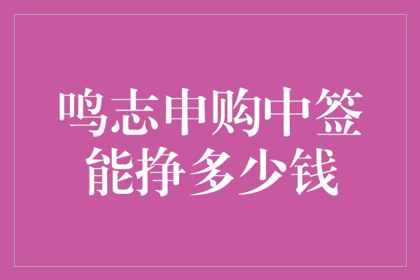 鸣志申购中签能挣多少钱