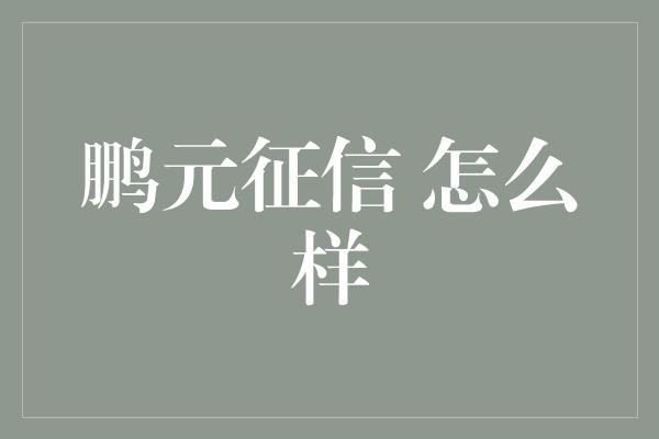 鹏元征信 怎么样