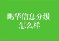 鹏华信息分级基金深度解析：信息科技赛道的投资利器