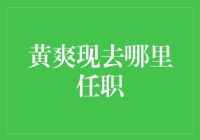 黄爽现任职于中国科学院文献情报中心：以数据驱动科研创新