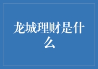 龙城理财：现代都市中的财务管理新体验