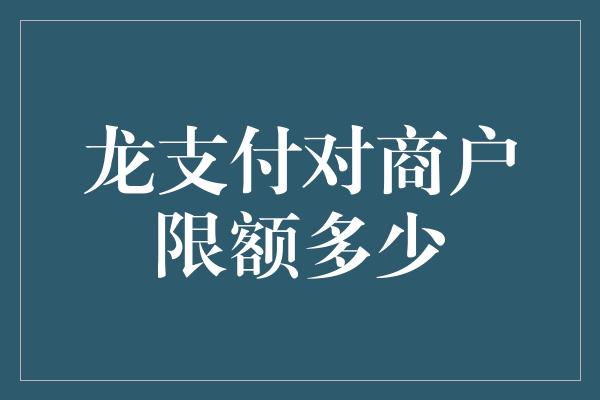 龙支付对商户限额多少