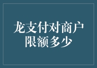 龙支付对商户限额多少：深入探究与分析