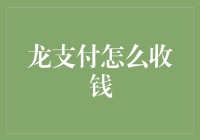 龙支付：打造便捷高效收款新体验