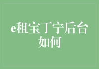 e租宝后台操作揭秘：专业角度剖析丁宁团队运营模式