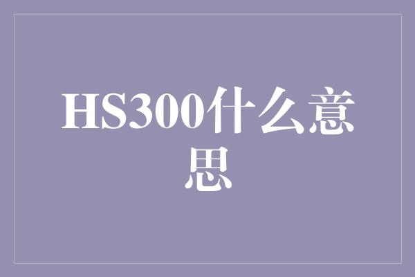 HS300什么意思