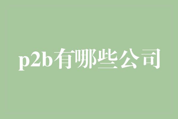 p2b有哪些公司